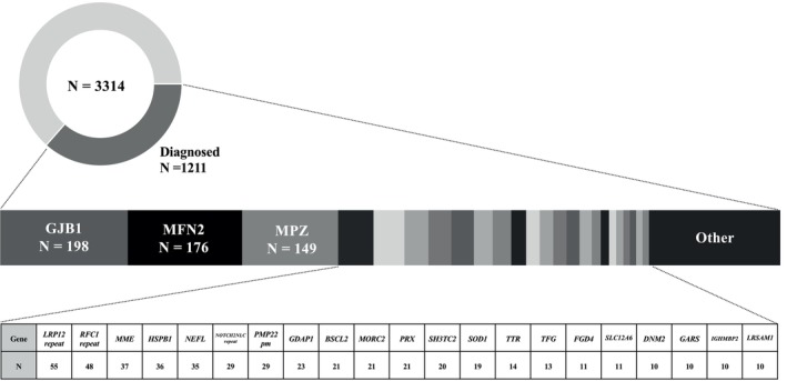 FIGURE 1
