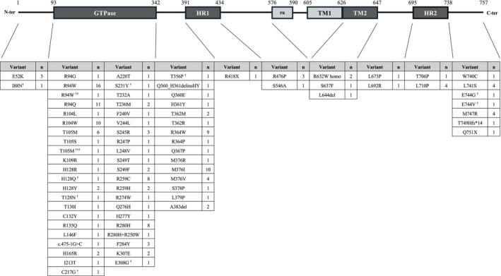 FIGURE 2