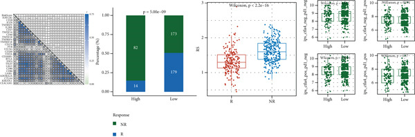 Figure 15
