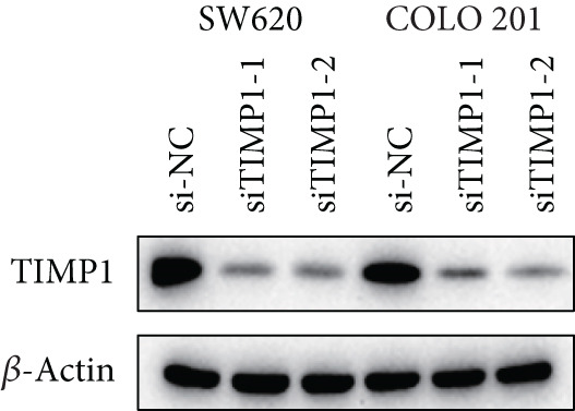 Figure 21