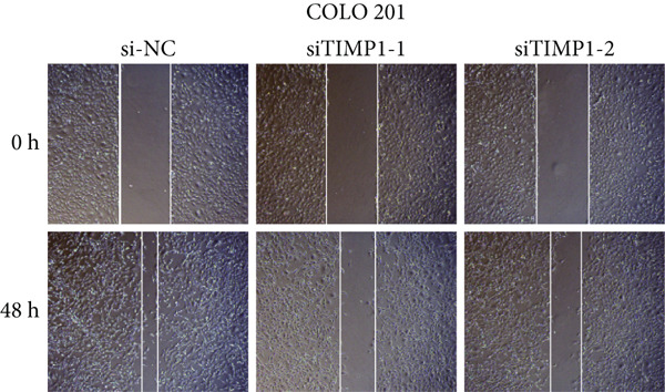 Figure 25