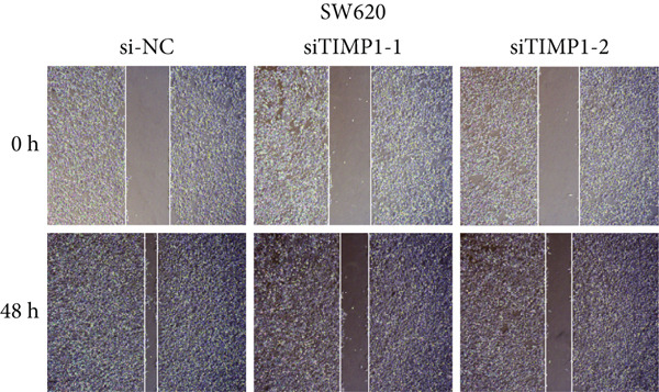 Figure 26