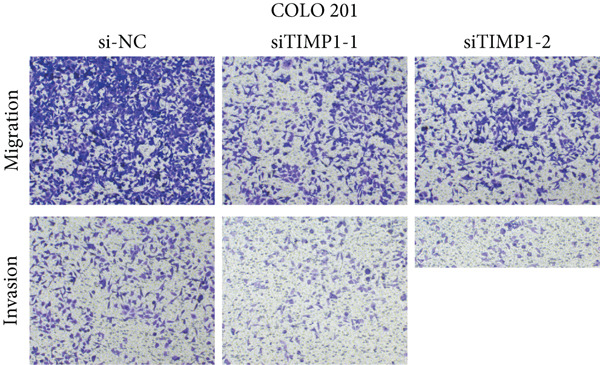 Figure 28