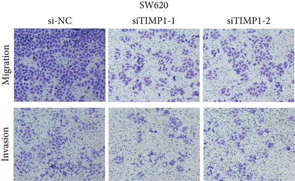 Figure 29