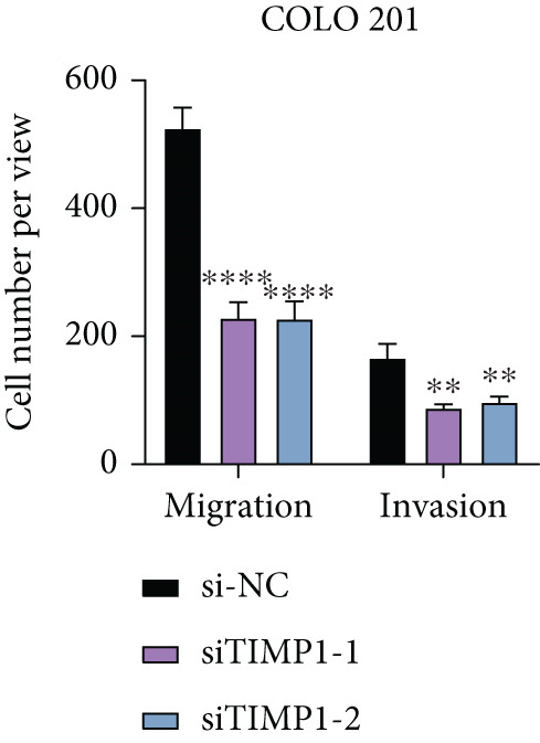 Figure 30