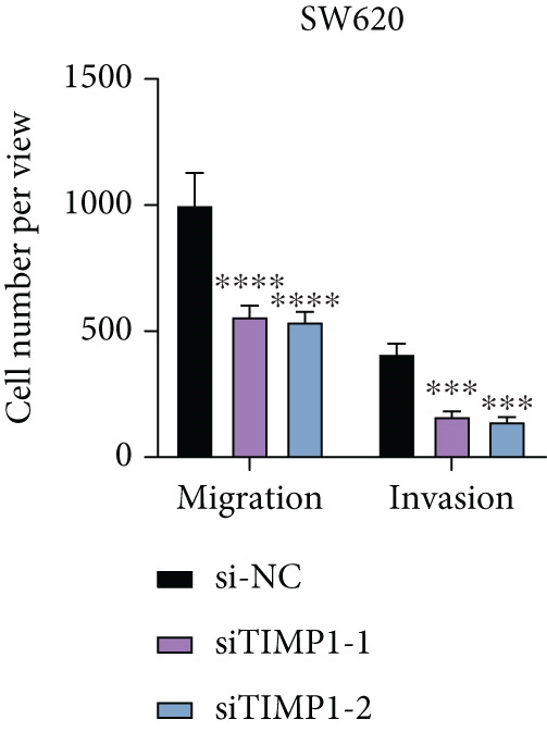 Figure 31