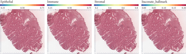 Figure 43