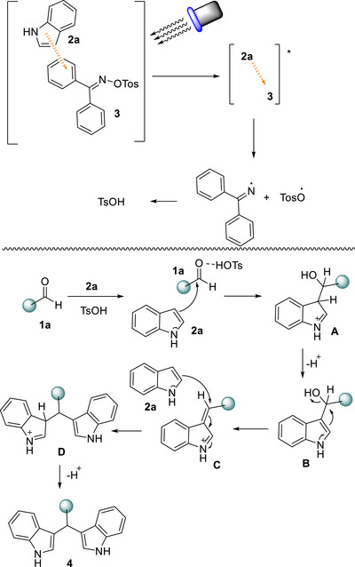 SCHEME 7