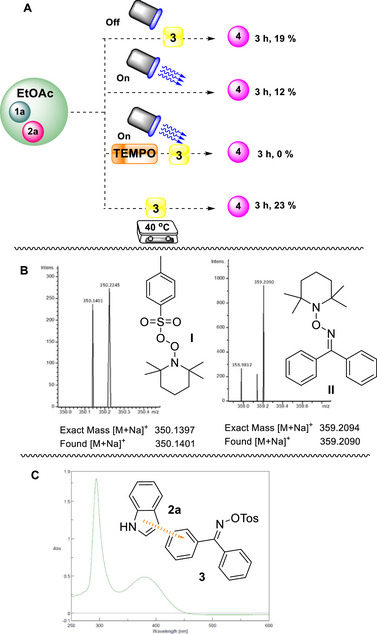 SCHEME 6
