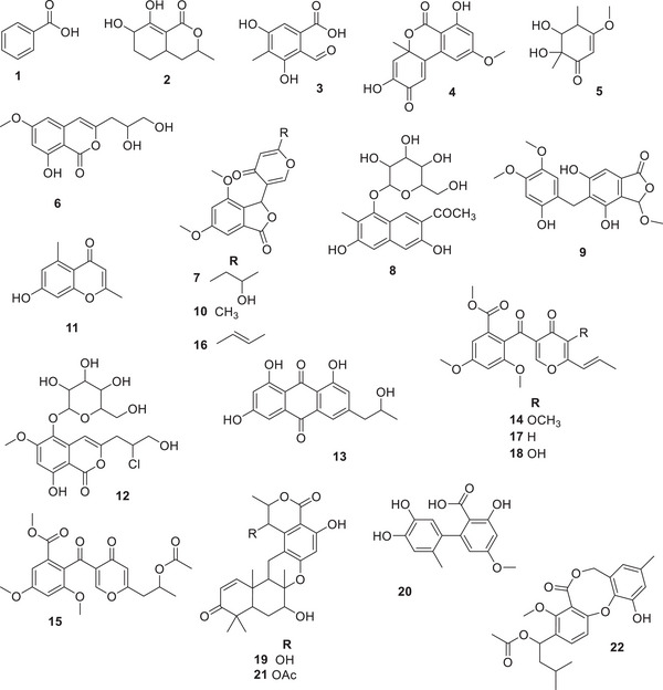 FIGURE 3