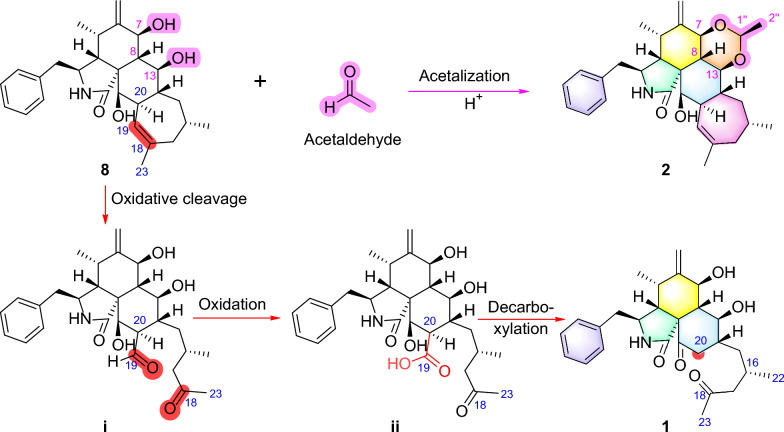 Figure 9