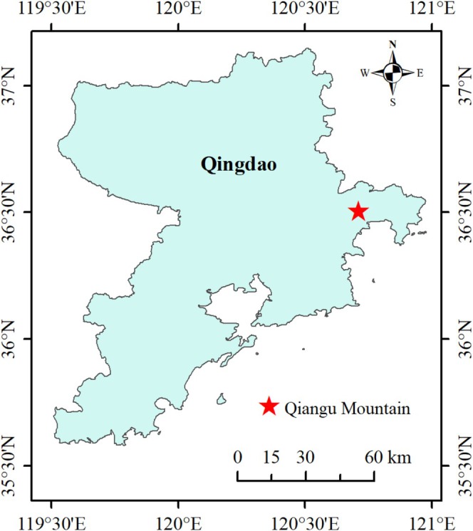 FIGURE 2