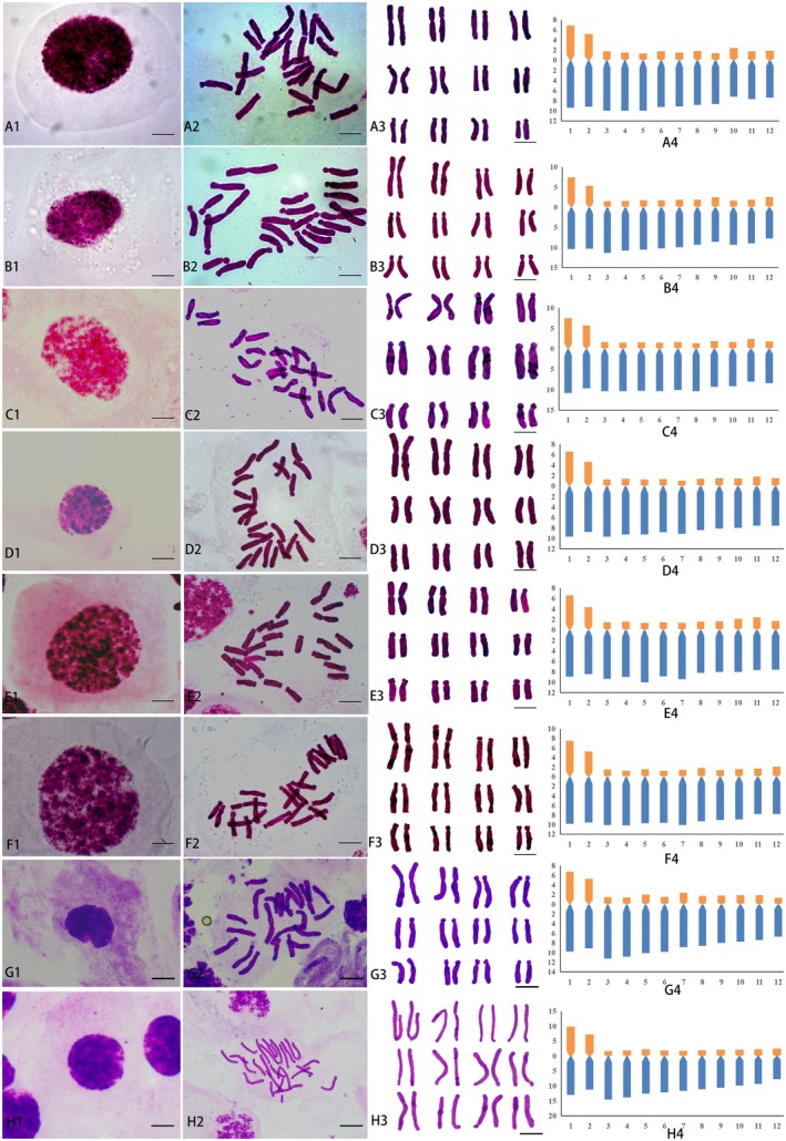 FIGURE 3