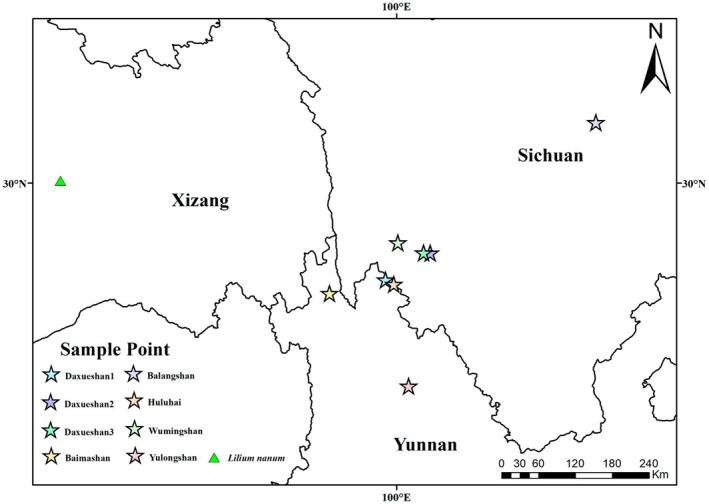 FIGURE 2