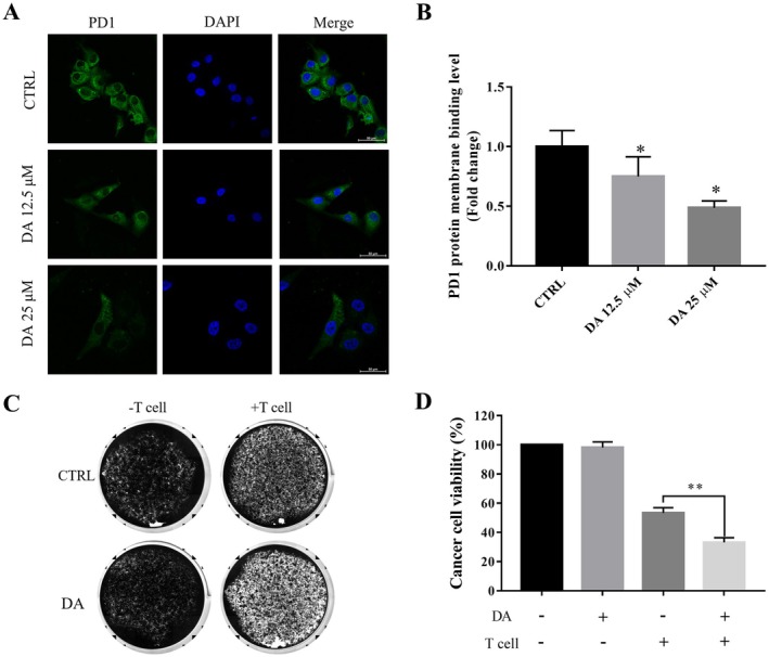 FIGURE 4