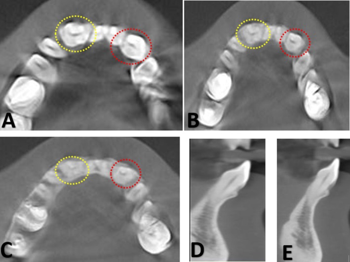 FIGURE 2