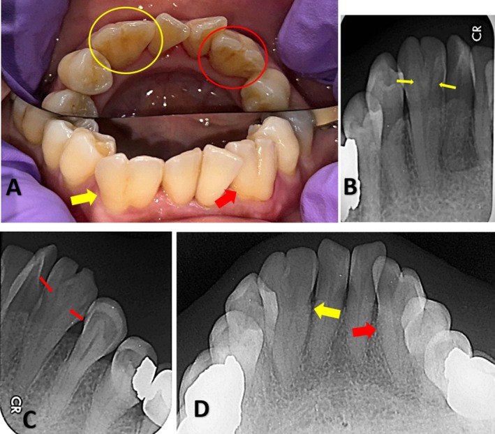 FIGURE 1