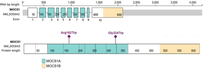 FIGURE 1