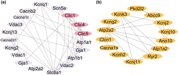 FIGURE 3