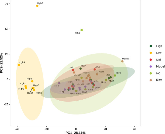 Figure 6