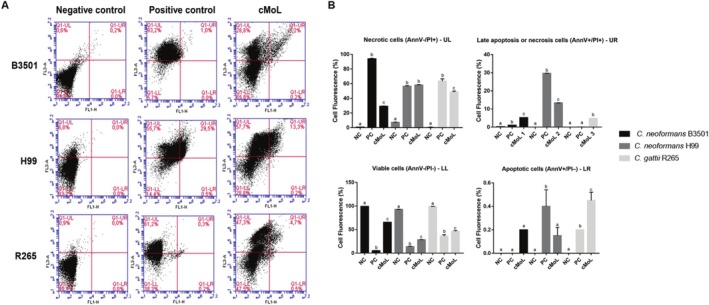 FIGURE 2