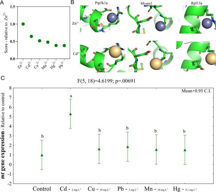 FIGURE 3