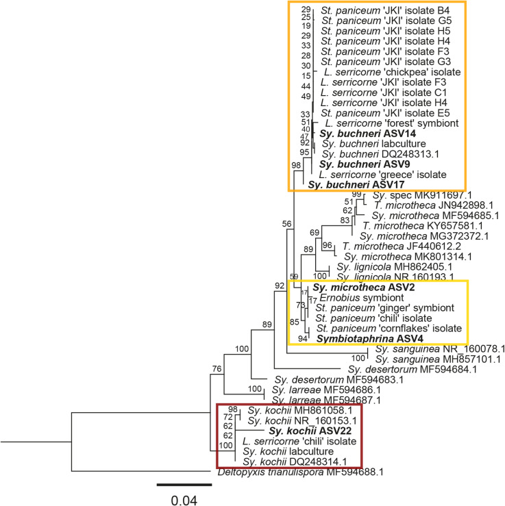 Figure 4