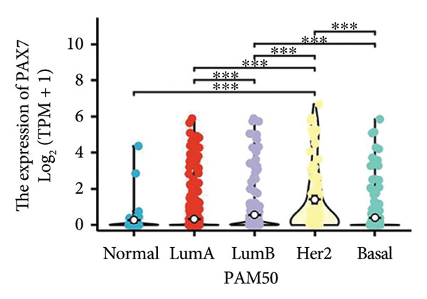 Figure 17
