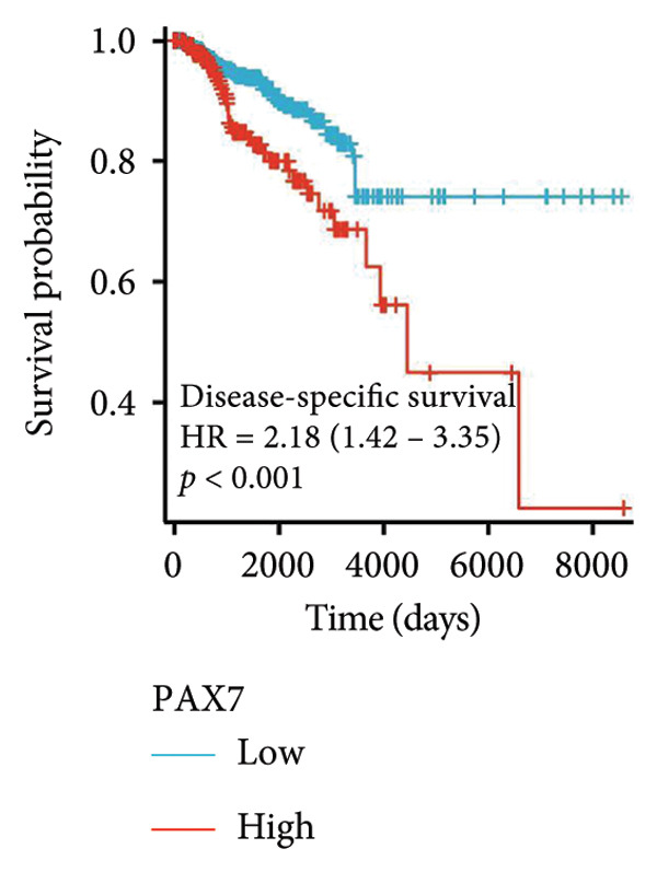 Figure 19