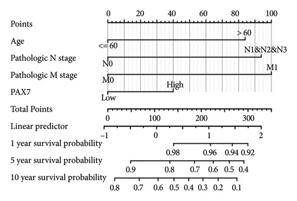 Figure 24