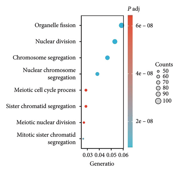 Figure 26