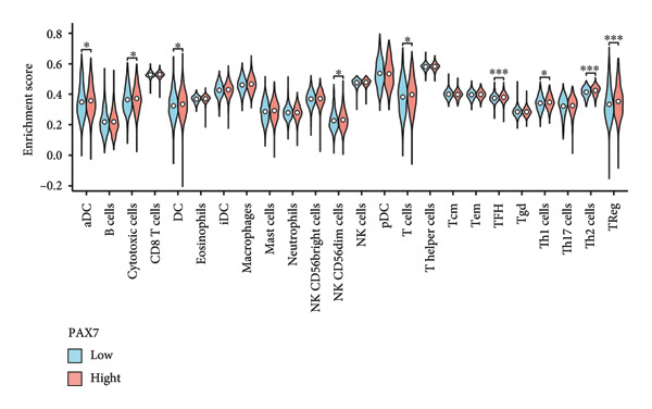 Figure 31