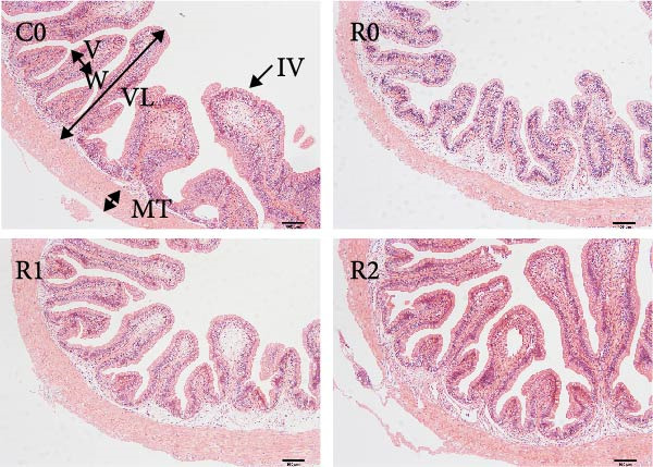 Figure 12