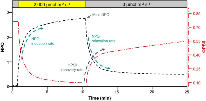 FIGURE 1