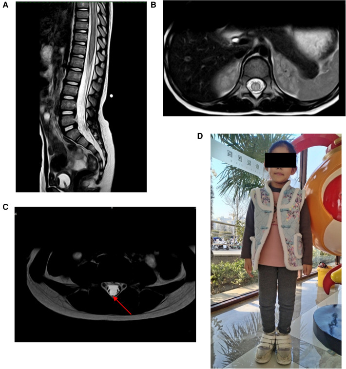 Figure 1