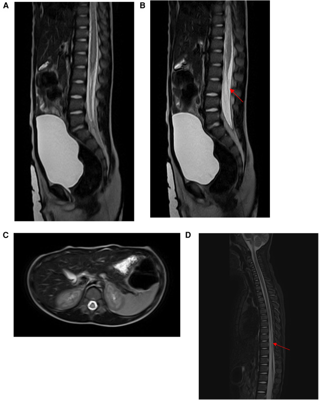 Figure 5
