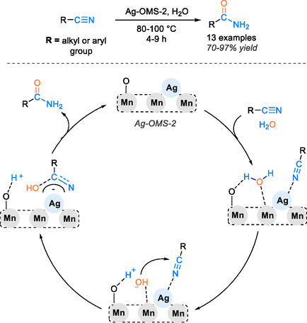 SCHEME 20