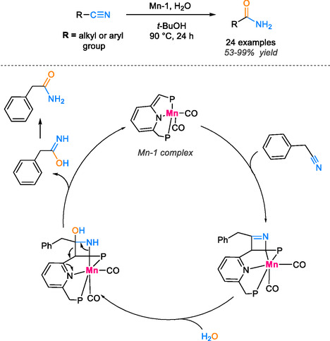 SCHEME 9