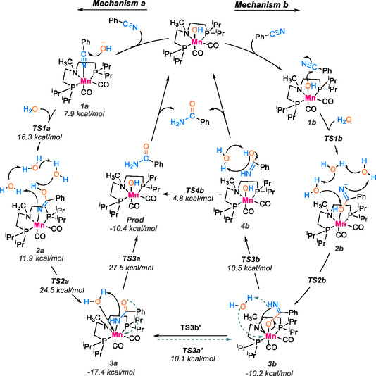 SCHEME 22