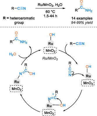 SCHEME 19