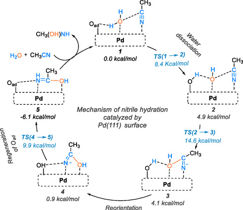 SCHEME 24