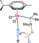 SCHEME 7