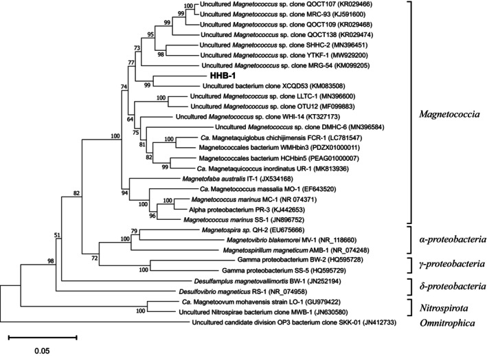 FIGURE 3