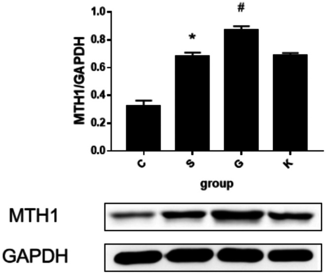 FIGURE 9