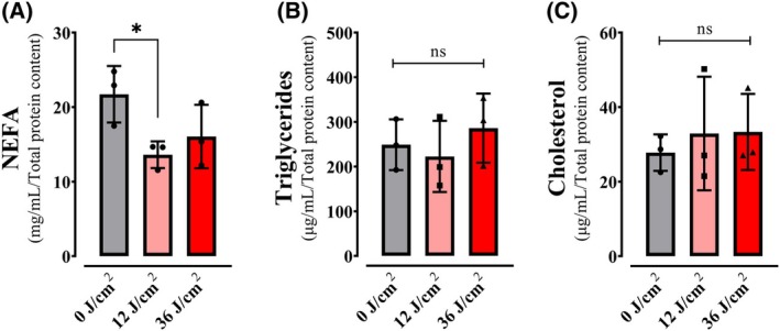 Fig. 12