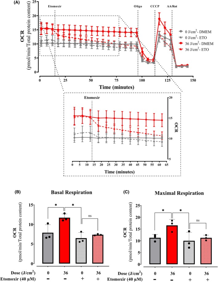 Fig. 11