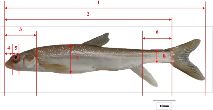 FIGURE 2