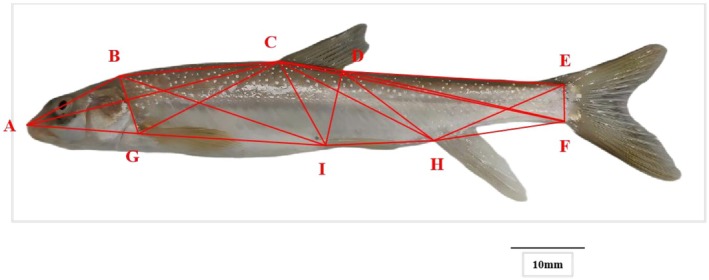 FIGURE 3