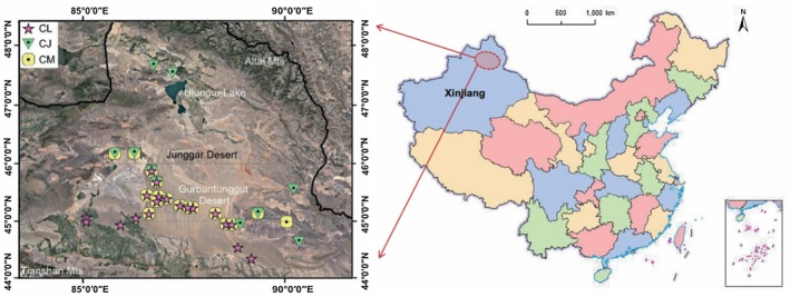 FIGURE 1
