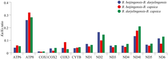 FIGURE 3